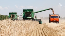 Около 2,5 млн тонн зерна хранится на Ставрополье