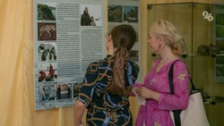Программу «Земский работник культуры» запустят на Ставрополье в 2025 году